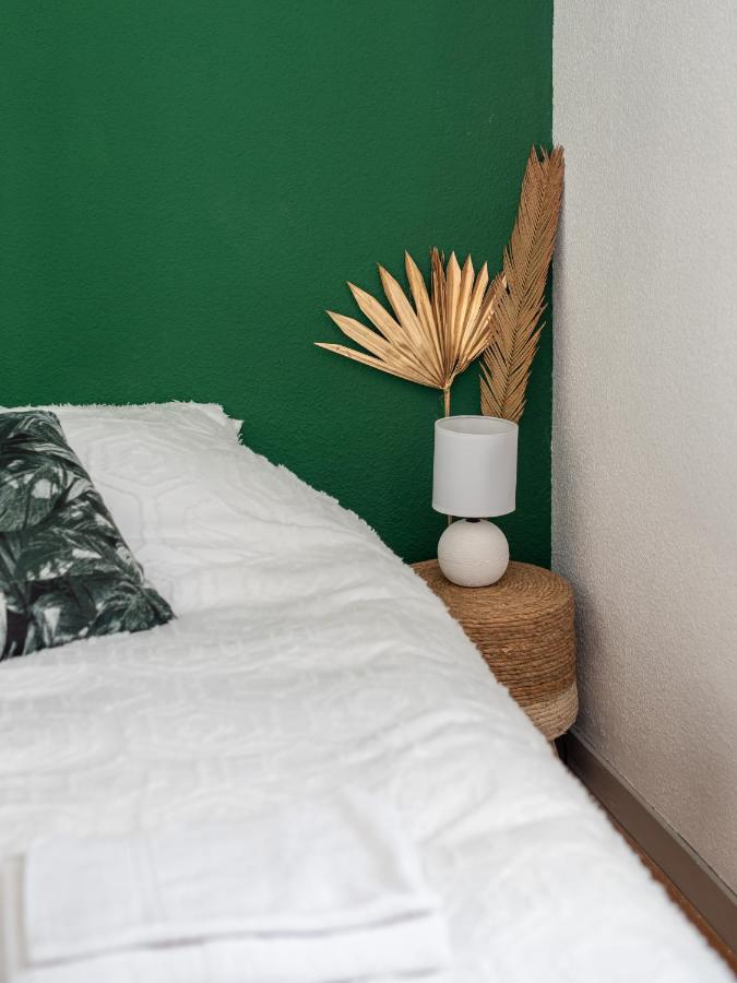 Bel Appartement Renove Grenoble Exteriér fotografie